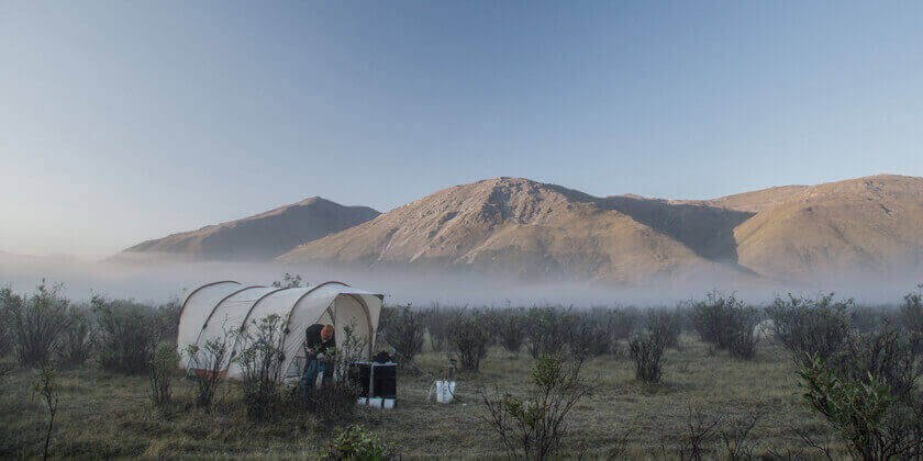 Glamping