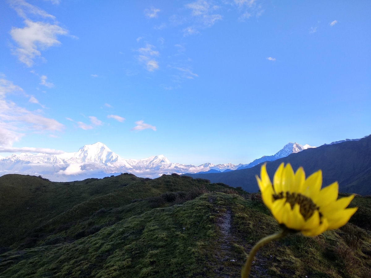 Mardi Himal Trek