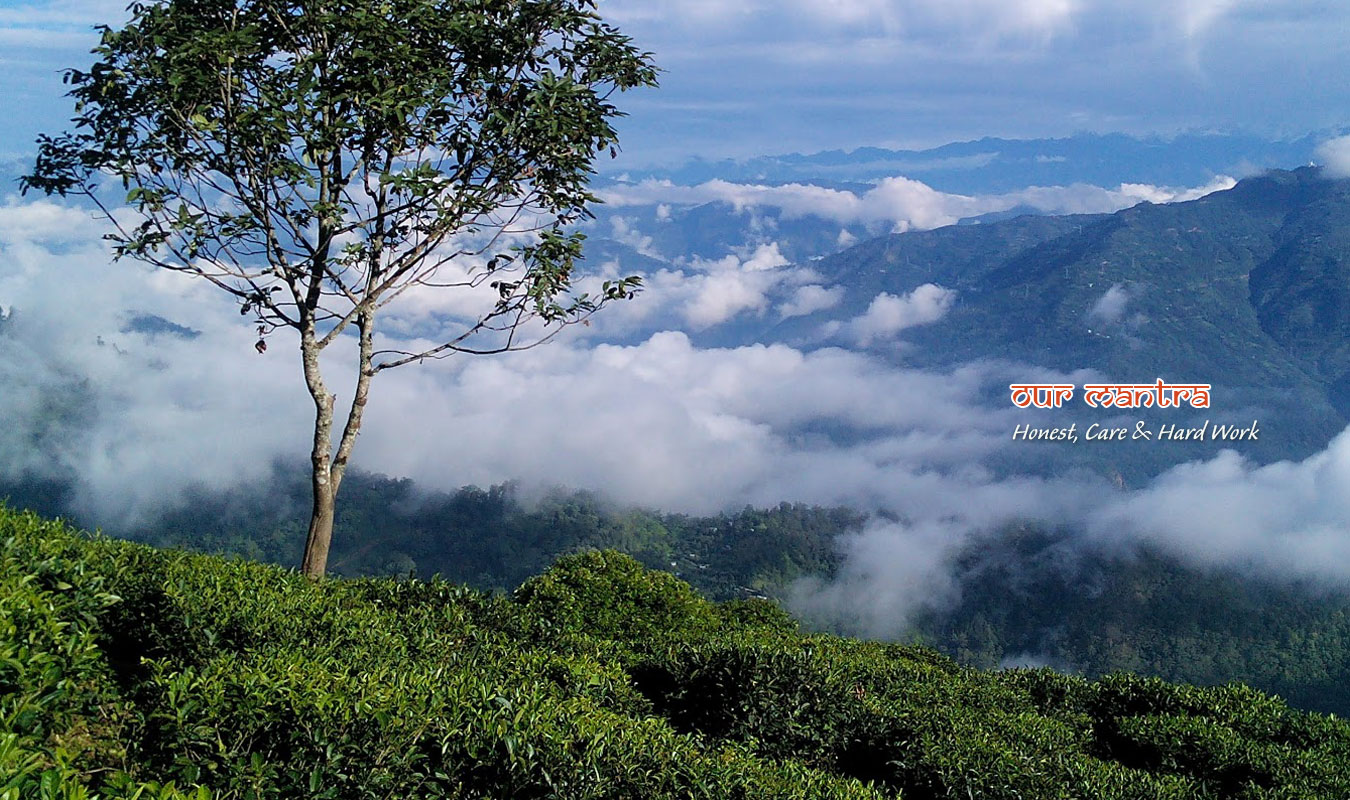 Sikkim & Darjeeling